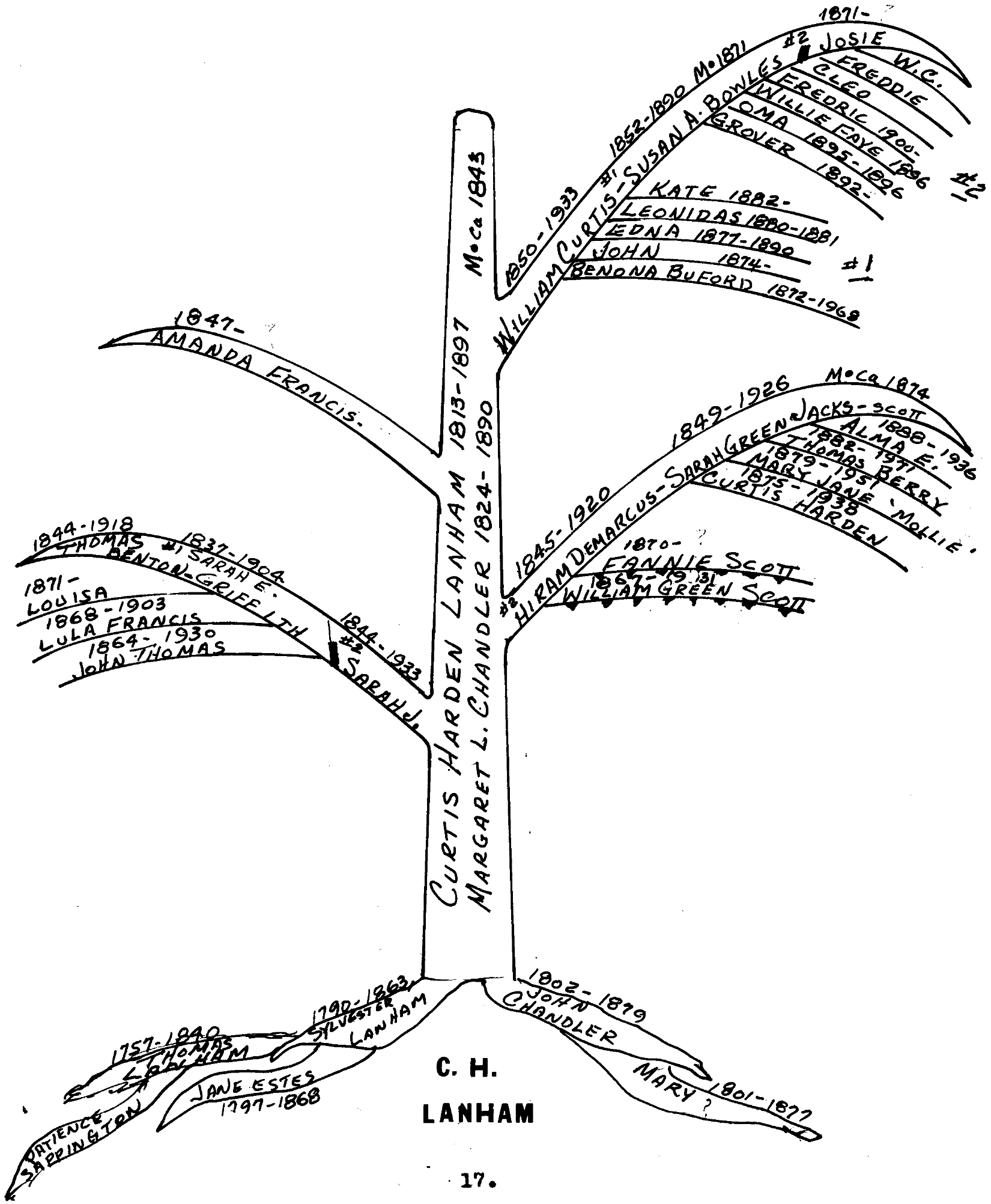 Hand drawn Family Tree