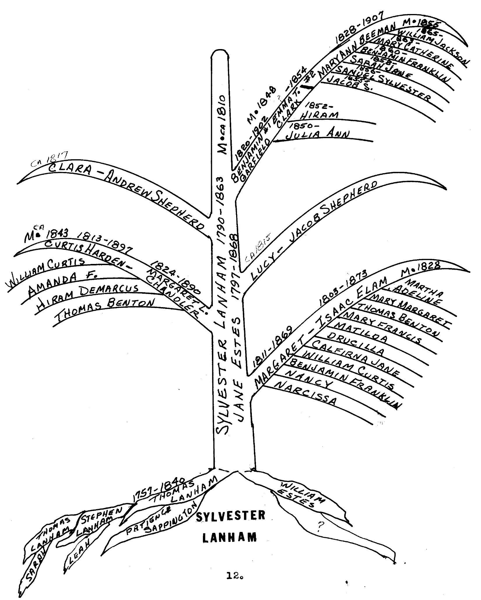 Hand drawn Family Tree